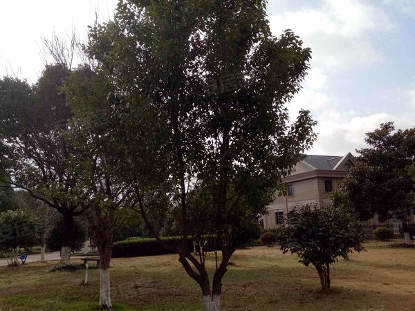 塔山花园,塔山路242号 - 象山塔山花园二手房,租房,房价-象山安居客