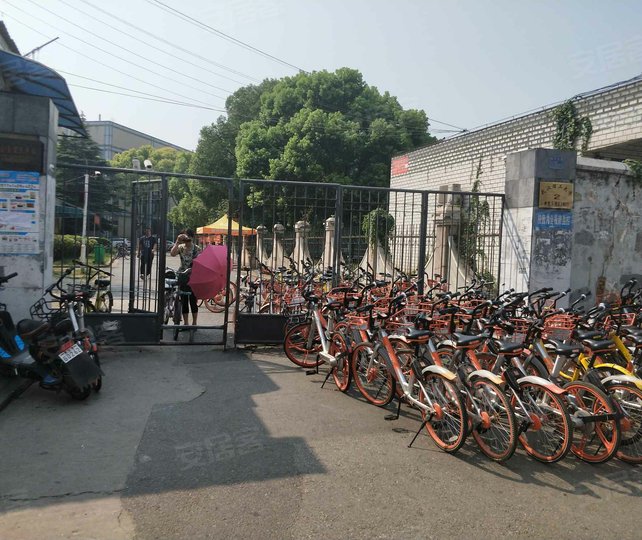 有关武汉理工大学的图片, 第1张图片