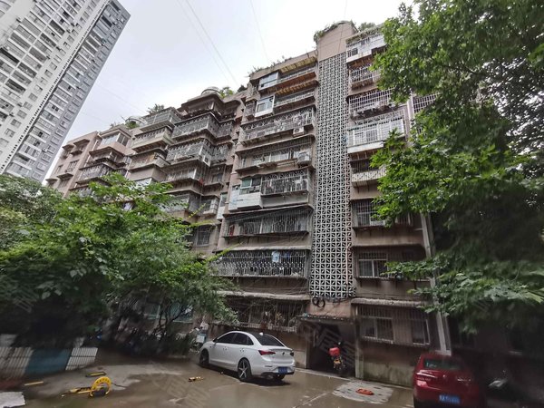 花溪大道北段19号院