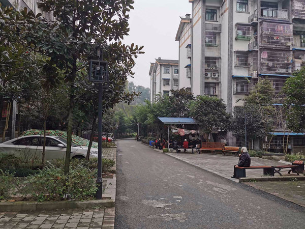 重庆市北碚区焦家沟图片