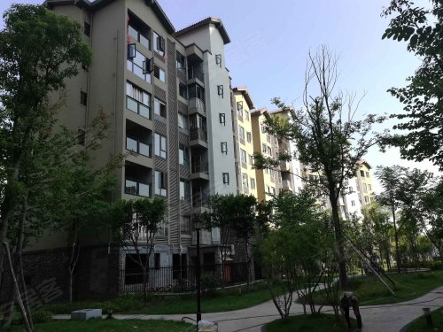 重庆小区 忠县小区 忠县城区小区 香山国际(a区)实景图 1/ 14  