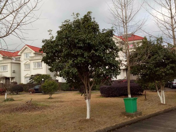 塔山花园,塔山路242号 - 象山塔山花园二手房,租房,房价-象山安居客