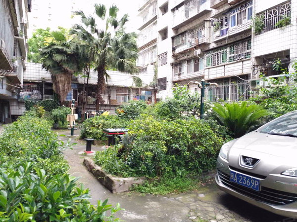 龍津花園,下藤路342號-福州龍津花園二手房,租房-福州安居客