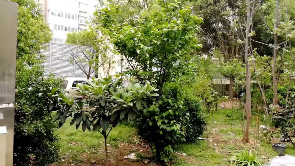 周边环境视频,文秀花园楼栋外景视频,小区路况配套设施视频-南阳安居