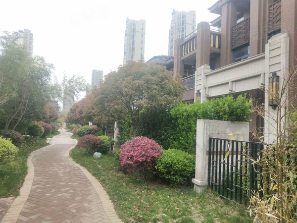 爱伦坡(别墅),广州路 - 临沂爱伦坡(别墅)二手房,租房,房价-临沂安居