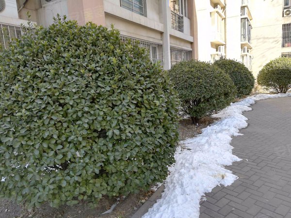 海韵园(塘沽),菜市场路150号 - 天津海韵园(塘沽)二手房,租房,房价