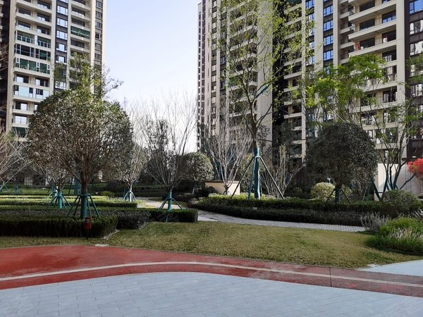 东原华宇朗阅,六一堂路610号-绵阳东原华宇朗阅二手房,租房-绵阳安居