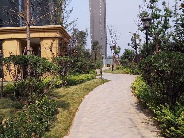 郑州小区 新郑小区 新郑龙湖小区 > 龙湖百合花园  实景图 1/ 17 