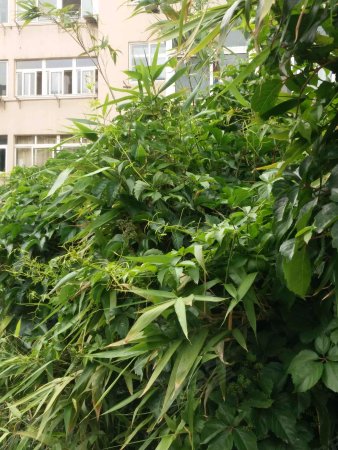 一楼带120大院,房子精装修,实际利用面积接方