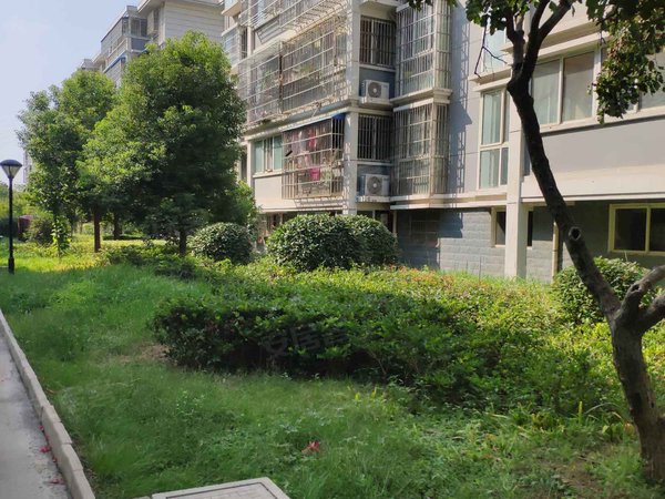 徐州小区 邳州小区 邳州市区小区 馨宁雅居 实景图 1/ 13  