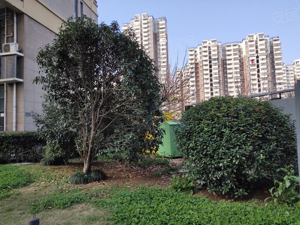幸福人家(商住楼),界首路4号-合肥幸福人家(商住楼)二手房,租房-合肥