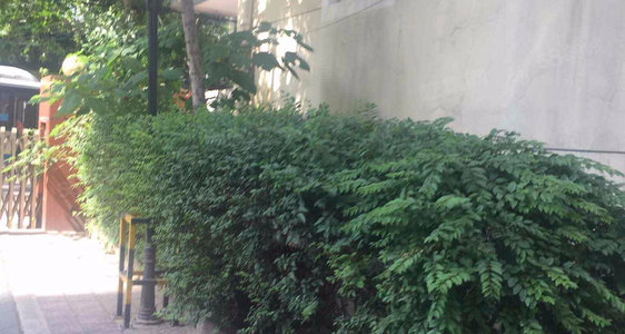 安远有多少人口_安远旅游有哪些景点