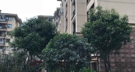 阳光小镇最新视频 562x300c.jpg