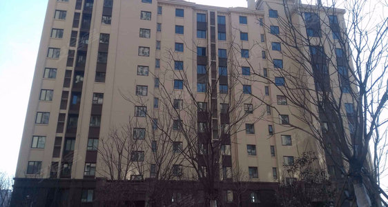 562x300c.jpg