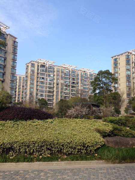 上海春江花悦园-实景图(41) - 上海安居客