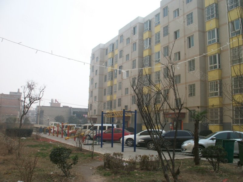东方绿洲