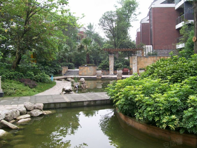 成都时代尊城-实景图(52) - 成都安居客