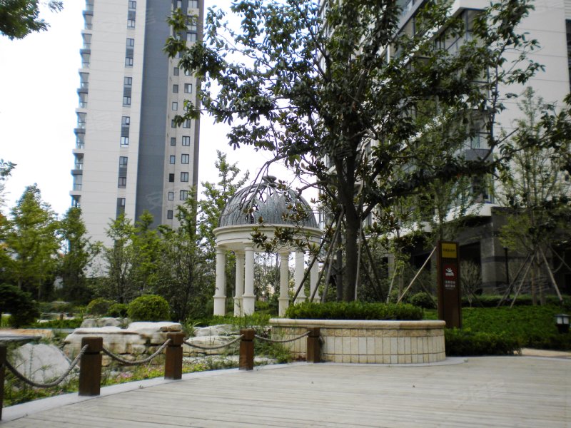 青岛麦岛金岸-实景图(43) - 青岛安居客