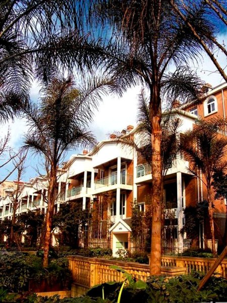 成都美洲花园加州阳光-沙盘图(29) - 成都安居客