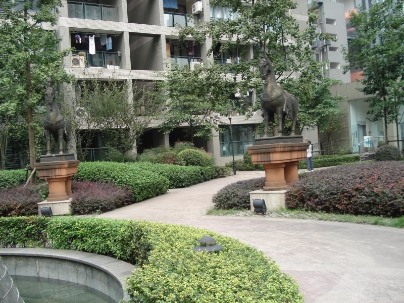 重庆钱塘玫瑰湾-实景图(10) - 重庆安居客
