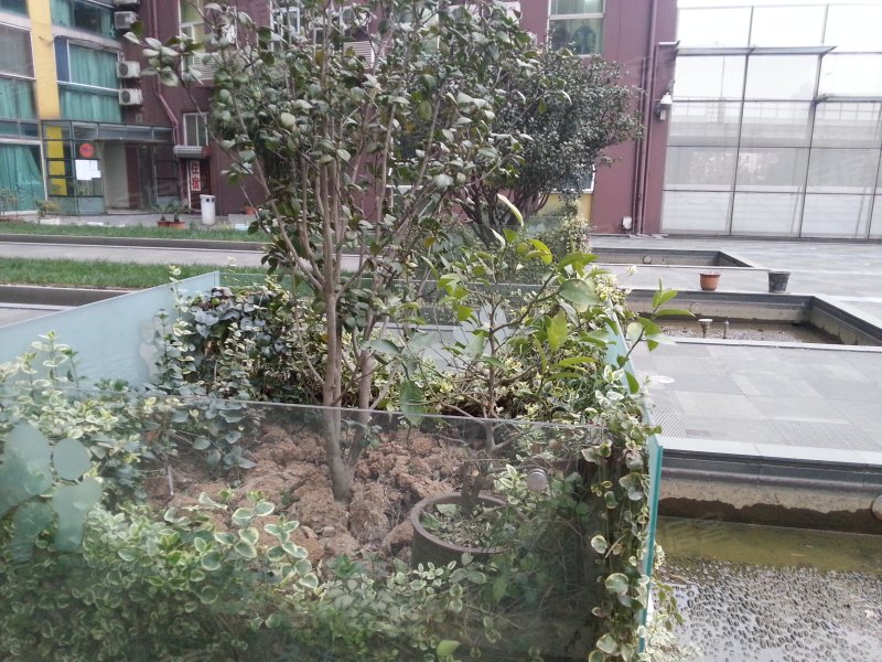 南京圣淘沙花城-实景图(54) - 南京安居客