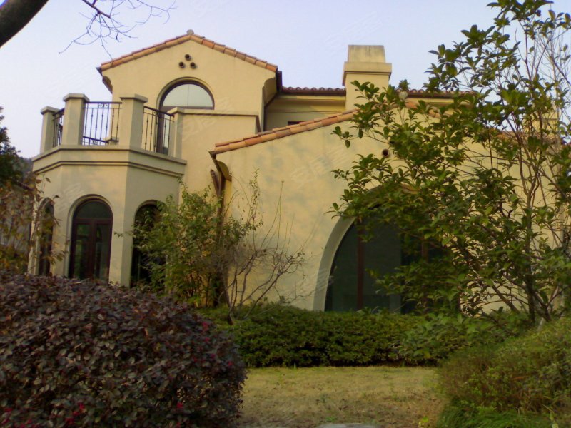 良渚文化村竹径茶语