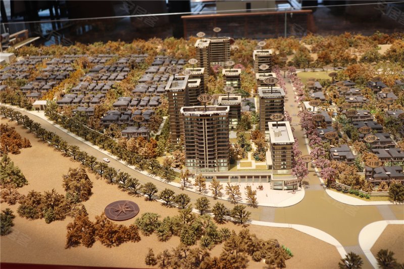 金科九曲河沙盘图