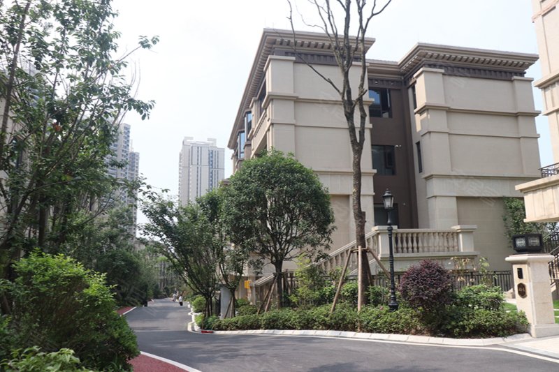 重庆蓝光林肯公园-实景图(17) - 重庆安居客