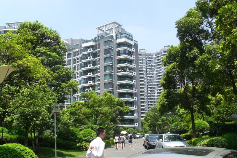 上海大华清水湾花园-实景图(64) - 上海安居客