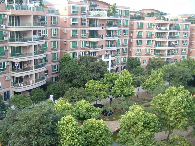 广州华南碧桂园碧翠苑-实景图(16) - 广州安居客