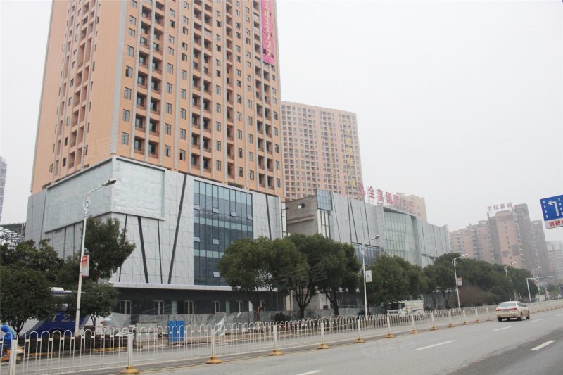 杉鼎国际