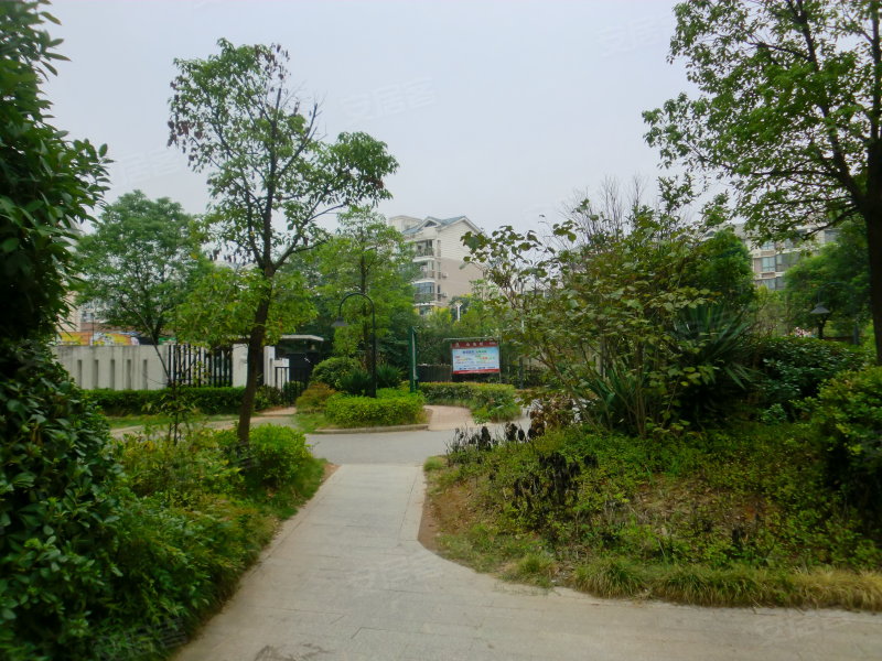 武汉凤凰花园图片