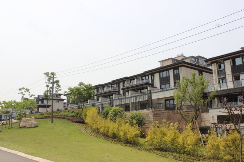 成都保利湖心岛-实景图(40) - 成都安居客