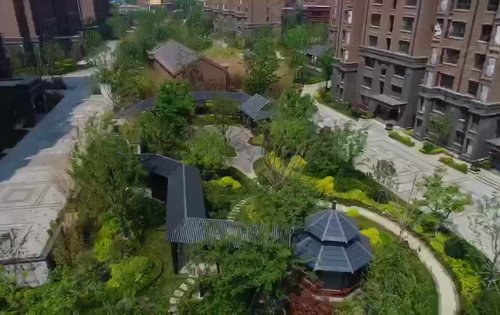 转眼间格调平园逸涵园一期交房已经过去半年多了绿树成荫水波荡漾一切