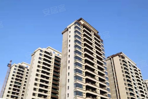 新春这4大重磅利好集聚花漾美郡