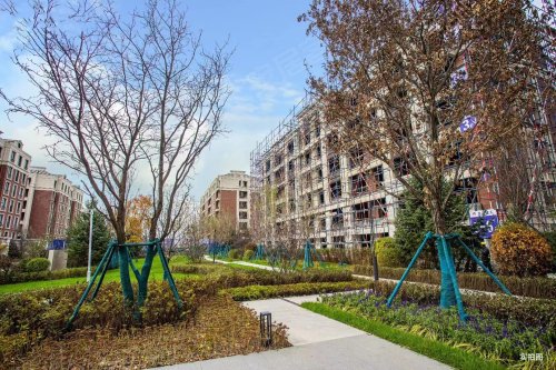 产城融合新生态圈融创冰雪影都