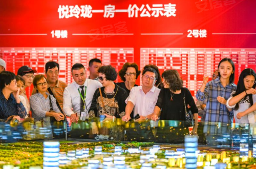 环沪爆款红盘引千人看房 悦玲珑火爆热销