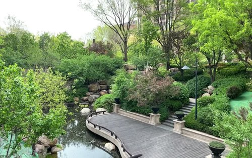 太原星河湾5号园动态:星河湾全球同纬度醉美园林,让你感受大自然的美