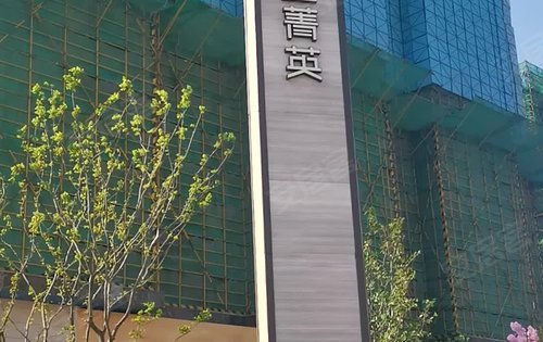 上实·海上菁英