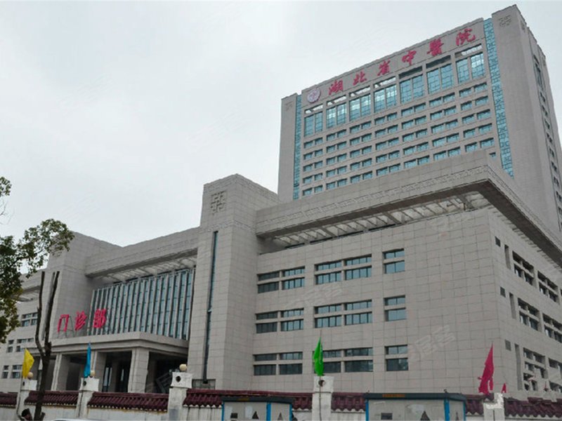 800x600c.jpg