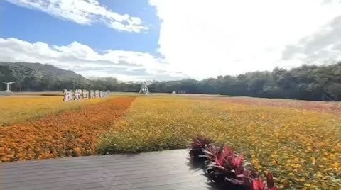 泉州世茂城动态:泉州世茂城自带花海公园-泉州安居客