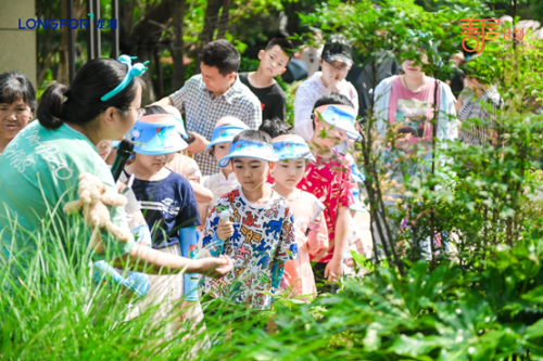 善居计划之神奇植物在哪里 探索家门口的&ldquo;植物园&rdquo;！