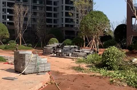 建鸿达·鸿都动态:小区绿化园林进行中-怀化安居客