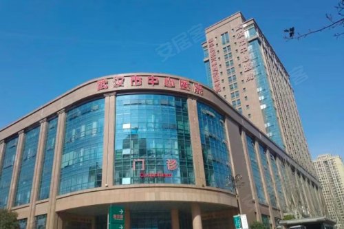 项目周边还有武汉中心医院,十一医院,新华医院,可驾车通达协和医院