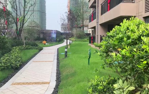 孝昌碧桂园时代城小区实景拍摄