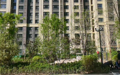 中海铂悦世家动态:超大楼间距,采光充足,居住更舒适!-兰州安居客