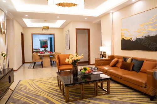 迦州橘郡宽境电梯洋房样板间盛大开放!