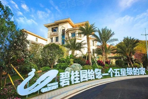 碧桂园和世界实力稳健热度不止