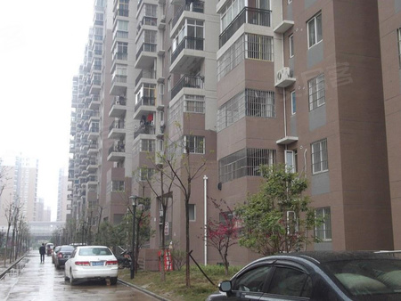 450x338x98c.jpg