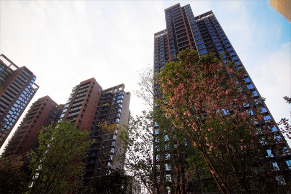 鲁能星城,3室2厅2卫,渝鲁大道777号(寸滩街道原观音桥社第7宗),两江